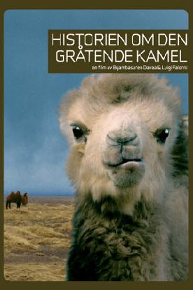 Historien om den gråtende kamel